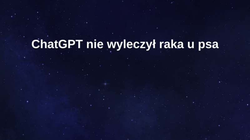 Sztuczna Codzienność – undefined